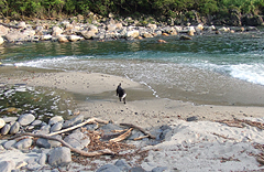 大川の滝下流の海辺